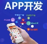 深圳手機APP軟件開發_社交電商系統開發定制_小程序開發定制