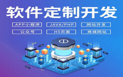 軟件開發APP游戲制作公眾號制作運營OA制作