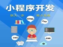 深圳手機APP軟件開發_社交電商系統開發定制_小程序開發定制